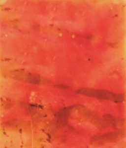 132 Autumn Red