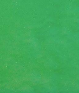 113 Fresh Grass
