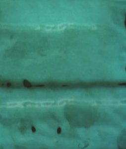 108 Frozen Stream