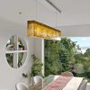 Linear Suspended Light Fixture