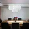 Organic Chandelier Light